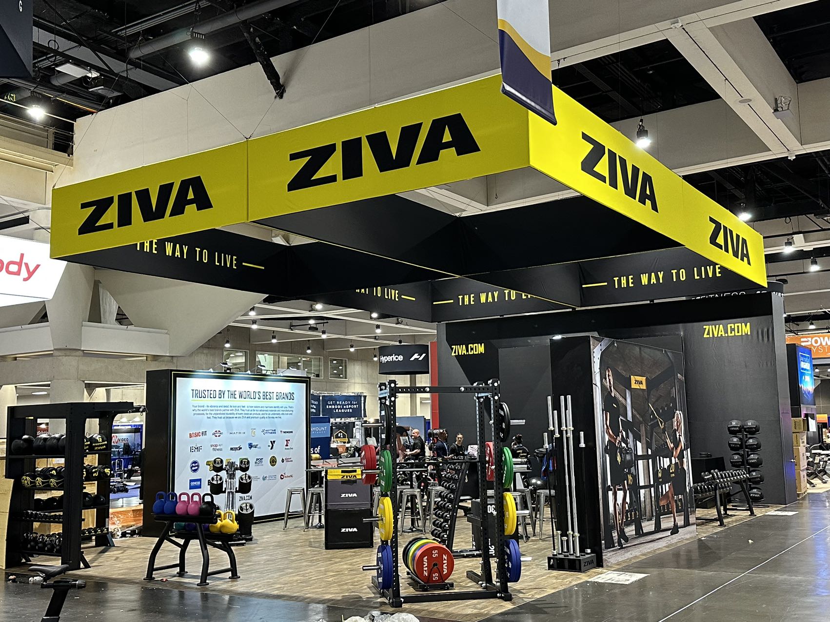 Ziva2 Ziva